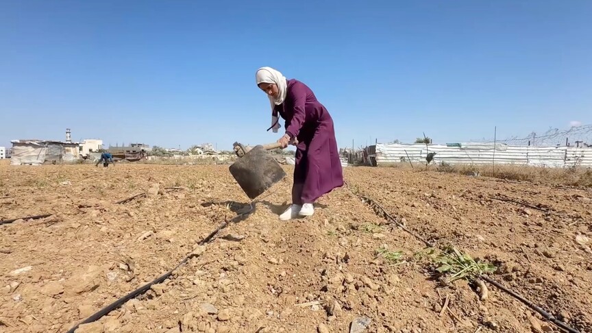 Gazzeli genç kadın babasından miras kalan toprağı ayakta tutmaya çalışıyor